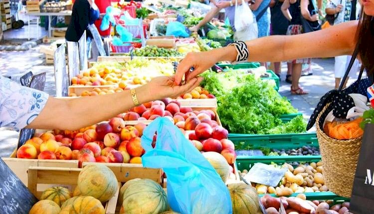 Desemprego no Brasil Cai para o Menor Nível em Décadas: Oportunidades e Desafios para 2025!
