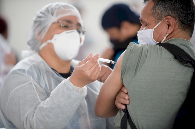 Alerta de Saúde em 2025: Epidemia de Dengue, Gripe Aviária e Novas Medidas Médicas no Brasil!