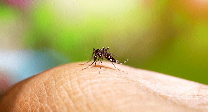Alerta de Saúde em 2025: Epidemia de Dengue, Gripe Aviária e Novas Medidas Médicas no Brasil!