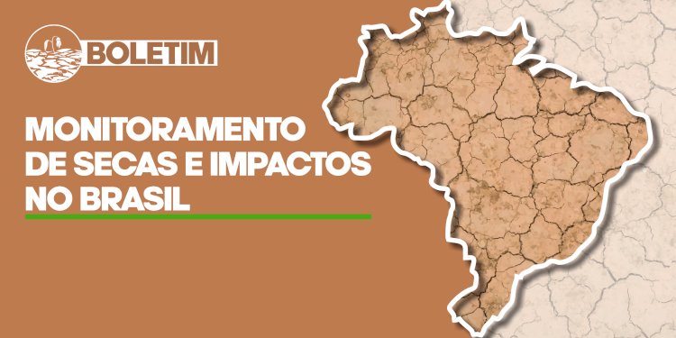 2025: O Ano Mais Quente da História? Ondas de Calor, Queimadas e a Luta pelo Futuro do Meio Ambiente!