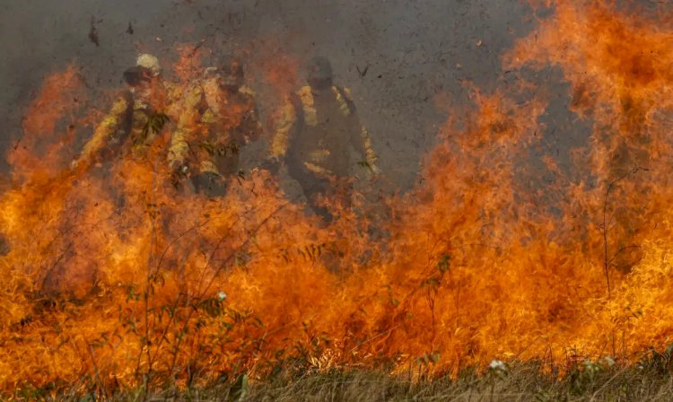 2025: O Ano Mais Quente da História? Ondas de Calor, Queimadas e a Luta pelo Futuro do Meio Ambiente!